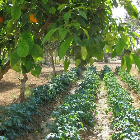 Apartament Siora Maria Argostolion